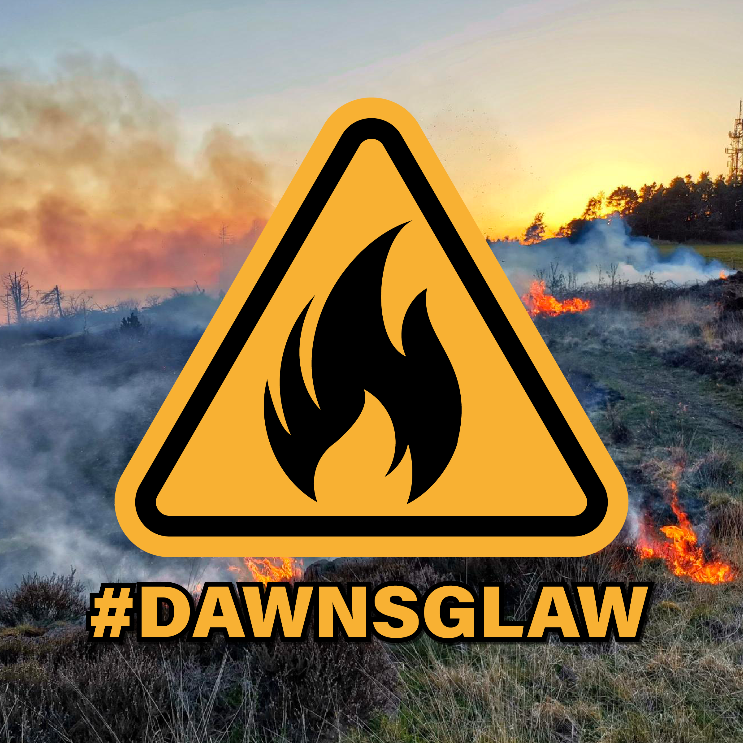 dawns glaw tan